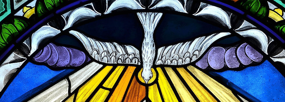 a white doe with shards of light coming out from them